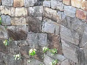 Detail of Sindhudurg fort wall