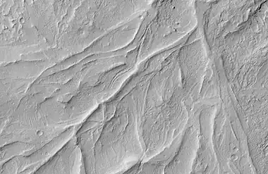 Sinuous Ridges within a branching fan in lower member of Medusae Fossae Formation, as seen by HiRISE