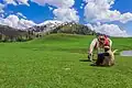 Payee meadows in Shogran, Kaghan Valley