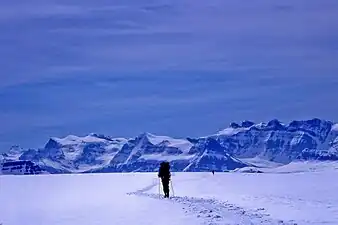 Skiing the Columbia Icefield