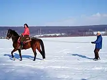 A woman on a bay horse pulls a man on skis