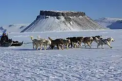 The tombolo known as Uummannaq