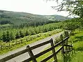 The Slieve Blooms