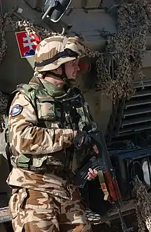 A Slovak army engineer Nov. 25, 2006, near Diwaniyah, Iraq.