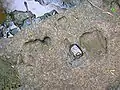 Small basins cut by pebbles in fast moving water near the edge of the waterfall