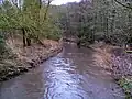 17. At Gothersley, close to its confluence with the Spittle Brook