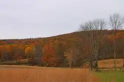 Sorber Mountain in Lake Township