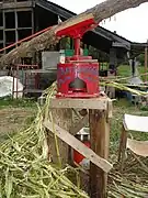 Horse-driven, antique sorghum-cane juicer being operated at an organic farm in central North Carolina, for syrup production