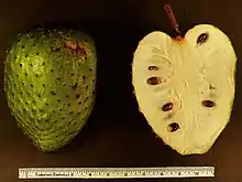 Guanabana or Soursop fruit (Annona muricata)