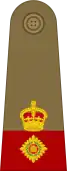 Lieutenant-Colonel