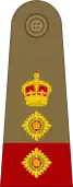 Colonel