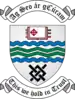 Coat of arms of South Dublin