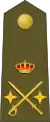 General de División