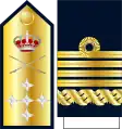 Capitán general de la Armada ("captain general of the navy") shoulder board and sleeve