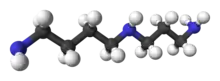 Ball and stick model of spermidine