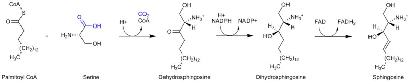 Sphingosine synthesis