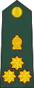 Brigadier(Sri Lanka Army)