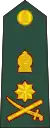 General(Sri Lanka Army)