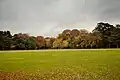 Fields of the park during autumn