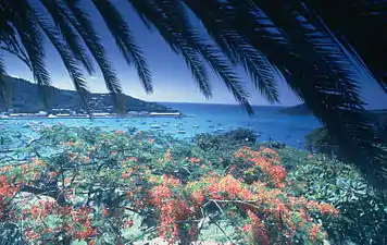 Harbor and Havensight view from Bluebeard's, 1980