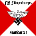 NSFK Standartenführer