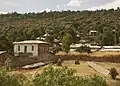 Another stelae field in Axum.