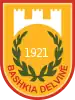 Official logo of Delvinë