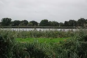 Reservoir positioned to the centre with foliage and scrub surrounding its edges