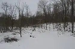 Stone Run, frozen by winter weather