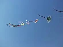 Train of connected kites