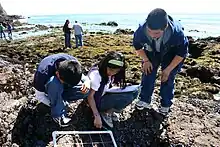 Students on rocky shore in the foreground, rocks with seaweed and the ocean in the background