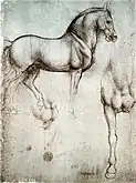 Leonardo's horse in silverpoint, c. 1488