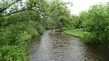 Sturgeon River flowing through Wolverine