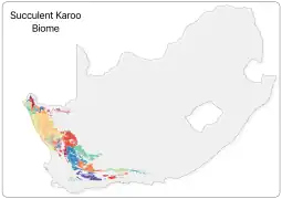 Succulent Karoo vegetation types