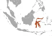 Sulawesi