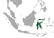 Sulawesi