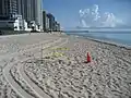 Sea turtle nest cone protected in 2010.