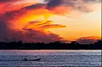 Tropical rainforest climate in the Amazon Rainforest