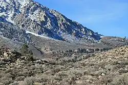 Top end of Swall Meadows (center), below the Wheeler Crest