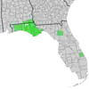 Map of Alabama and Florida with counties of distribution of Symphyotrichum chapmanii shaded in green: Primarily the Apalachicola River drainage basin. Alabama counties — Geneva and Houston; Florida counties — Alachua, Bay, Calhoun, Franklin, Gulf, Jackson, Liberty, Okaloosa, Santa Rosa, St. Lucie, Wakulla, Walton, and Washington.