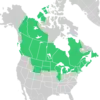 Symphyotrichum ciliolatum distribution map: Canada — Alberta, British Columbia, Manitoba, New Brunswick, Newfoundland, Northwest Territories, Nova Scotia, Ontario, Québec, Saskatchewan, and Yukon; US — Illinois, Maine, Massachusetts, Michigan, Minnesota, Montana, New Hampshire, New York, North Dakota, South Dakota, Vermont, Wisconsin, and Wyoming.