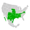 Symphyotrichum divaricatum native distribution: Mexico — Baja California Sur, Chihuahua, Coahuila, and Tamaulipas; US — Alabama, Arkansas, Kansas, Louisiana, Mississippi, Nebraska, New Mexico, Oklahoma, Tennessee, Texas, and Virginia.