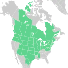 Symphyotrichum ericoides distribution map: Canada — Alberta, British Columbia, Manitoba, Northwest Territories, Ontario, Québec, and Saskatchewan; Mexico — Coahuila and Nuevo León; US — Arizona, Arkansas, Colorado, Connecticut, Delaware, District of Columbia, Idaho, Illinois, Indiana, Iowa, Kansas, Maine, Maryland, Massachusetts, Michigan, Minnesota, Mississippi, Missouri, Montana, Nebraska, New Jersey, New Mexico, New York, North Dakota, Ohio, Oklahoma, Oregon, Pennsylvania, Rhode Island, South Dakota, Texas, Utah, Vermont, Virginia, Washington, West Virginia, Wisconsin, and Wyoming.