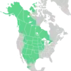 Symphyotrichum falcatum distribution map: Canada — Alberta, British Columbia, Manitoba, Northwest Territories, Ontario, Saskatchewan, and Yukon; Mexico — Chihuahua, Coahuila, Durango, Jalisco, Nuevo León, and Sonora; US — Alaska, Arizona, Colorado, Idaho, Illinois, Iowa, Kansas, Minnesota, Missouri, Montana, Nebraska, New Mexico, North Dakota, Oklahoma, South Dakota, Texas, Utah, Wisconsin, and Wyoming.