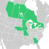 Symphyotrichum firmum native distribution: Canada — Alberta, Manitoba, Ontario, Saskatchewan; US — Georgia, Iowa, Michigan, Minnesota, Missouri, Nebraska, New York.