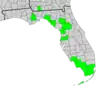 Map of Georgia and Florida with county boundaries and distribution of Symphyotrichum fontinale shaded in green: Georgia counties — Grady; Florida counties — Alachua, Citrus, Collier, Dixie, Lee, Liberty, Marion, Miami-Dade, Monroe, Pasco, and Taylor