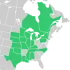 Symphyotrichum ontarionis distribution map: Canada — Ontario and Québec; US — Alabama, Illinois, Indiana, Iowa, Kansas, Kentucky, Louisiana, Michigan, Minnesota, Mississippi, Missouri, Nebraska, New York, North Carolina, Oklahoma, Pennsylvania, South Dakota, Tennessee, Texas, Vermont, and Wisconsin.