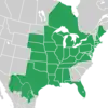 Symphyotrichum praealtum distribution map: Canada — Ontario; Mexico — Chihuahua, Coahuila, and Nuevo León; US — Alabama, Arkansas, Connecticut, Delaware, District of Columbia, Florida, Illinois, Indiana, Iowa, Kansas, Kentucky, Louisiana, Maine, Maryland, Massachusetts, Michigan, Minnesota, Mississippi, Missouri, Nebraska, New Hampshire, New Jersey, New York, Ohio, Oklahoma, Pennsylvania, Rhode Island, South Dakota, Tennessee, Texas, Virginia, West Virginia, and Wisconsin.