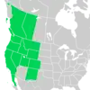 Symphyotrichum spathulatum distribution map: Canada — Alberta and British Columbia; Mexico — Baja California; US — California, Colorado, Idaho, Montana, Nevada, New Mexico, Oregon, Utah, Washington, and Wyoming.