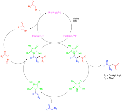 Diagram of Enantioselective Alkylation of Aldehydes via the synergistic combination of organo- and photoredox catalysis